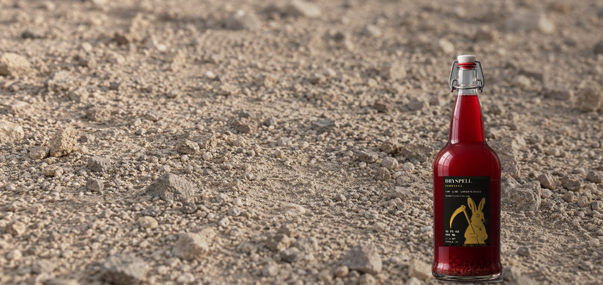 A Dryspell swing-top bottle of red kombucha standing on dry desert ground